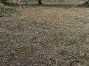Terreno em Novo Rio das Ostras, Rio das Ostras/RJ de 0m²...