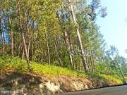 Terreno em Orgens