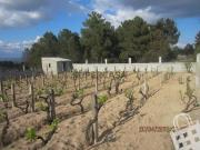 Terreno em Santa Cruz/Trindade e Sanjurge