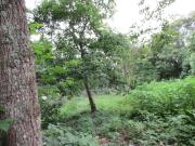 Terreno em Paisagem Renoir, Cotia/SP de 0m² à venda por...