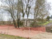 Terreno em Palmeira