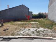 Terreno em Pardais