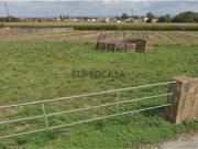 Terreno em Pardilhó