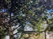 Terreno em Parque da Vila Prudente, São Paulo/SP de 0m²...