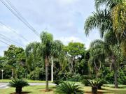 Terreno em Parque Dom Henrique, Cotia/SP de 365m² à...