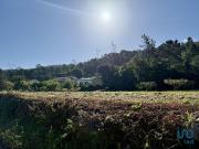 Terreno em Pedreiras de 1660,00 m²