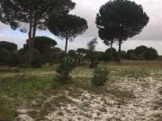 Terreno em Pegões