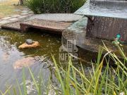 Terreno em Mata Paca, Niterói/RJ de 0m² à venda por R$...