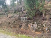 Terreno em Penhalonga e Paços de Gaiolo