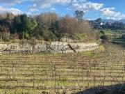Terreno em Penhalonga e Paços de Gaiolo