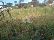 Terreno em Pinto Bandeira