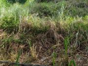 Terreno em Piratininga, Niterói/RJ de 0m² à venda por R$...