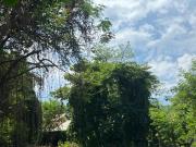 Terreno em Piratininga, Niterói/RJ de 0m² à venda por R$...