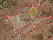 Terreno em Portel com 5897m2