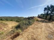 Terreno em Portimão de 12250,00 m²