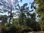 Terreno em Posse, Teresópolis/RJ de 668m² à venda por R$...