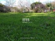 Terreno em Póvoa de Varzim, Beiriz e Argivai