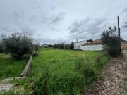 Terreno em Pussos, Alvaiázere