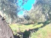 Terreno em Sé e São Lourenço