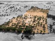 Terreno em Reguengos de Monsaraz