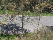 Terreno em Residencial Vale do Sol, Itapevi/SP de 202m²...