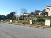 Terreno em Ribeira de Nisa e Carreiras