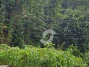 Terreno em Várzea das Moças, Niterói/RJ de 0m² à venda...