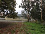 Terreno em Ruilhe Terreno em Ruilhe