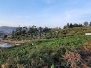 Terreno em Ruives V. N. Famalico