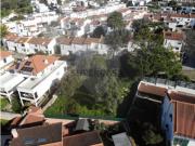 Terreno em S.Maria e S.Miguel, S.Martinho, S.Pedro...