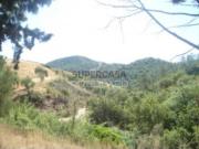 Terreno em São Brás de Alportel