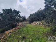 Terreno em São Brás de Alportel