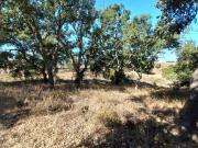 Terreno em são Francisco da Serra