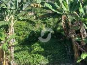 Terreno em São Francisco, Niterói/RJ de 0m² à venda por...