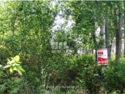 Terreno em São Miguel do Rio Torto e Rossio Ao Sul do Tejo