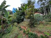 Terreno em São Pedro da Serra, Nova Friburgo/RJ de 0m² à...