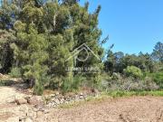 Terreno em São Vicente da Beira