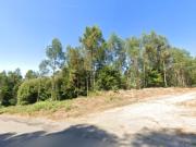 Terreno em S. Vicente de Pereira