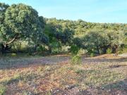 Terreno em Santa Bárbara de Nexe de 1880,00 m²