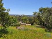 Terreno em Santa Bárbara de Nexe de 3840,00 m²