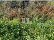 Urbanizável em Aldreu