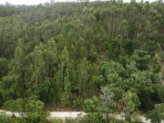 Terreno em Santiago e São Simão de Litém e Albergaria...
