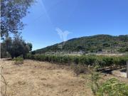 Terreno em Sé e São Lourenço