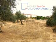 Terreno em Serpa Salvador e Santa Maria