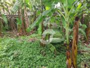 Terreno em Serra Grande, Niterói/RJ de 0m² à venda por...