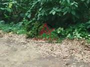 Terreno em Itamambuca, Ubatuba/SP de 500m² à venda por...