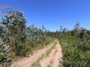 Urbanizável em Serzedo e Perosinho