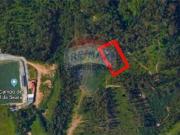 Terreno em Silvalde