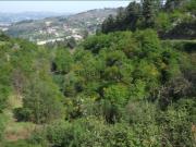 Terreno em Soalhães