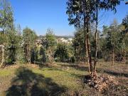 Terreno em Soure, Coimbra Oportunidade Única de Construção